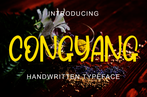 Congyang: Adding Personality to Campaigns with a Whimsical Display Font