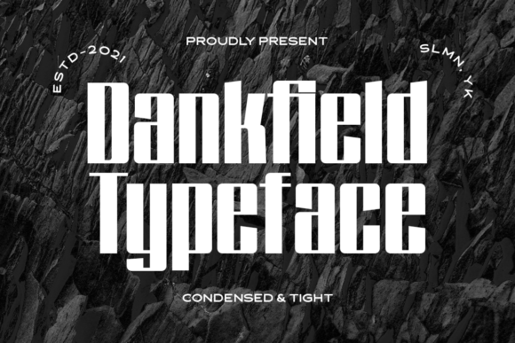 Dankfield: A Techno-Inspired Display Font for Bold Web Design