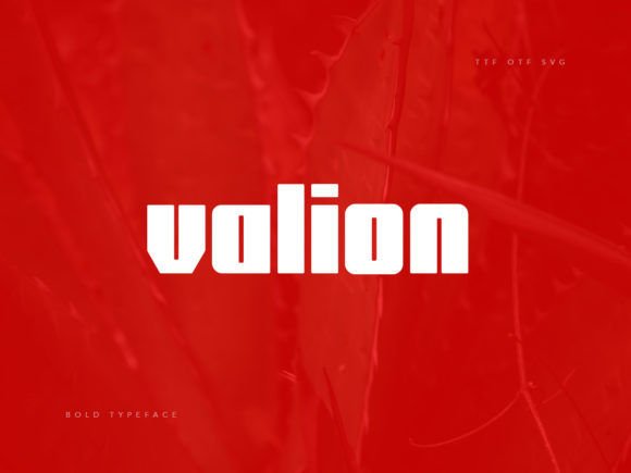 Valion Font Review: A Bold Display Typeface for Web Designers